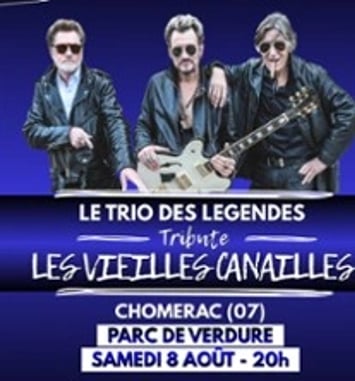 Le Trio des Légendes Tribute, Les Vieilles Canailles