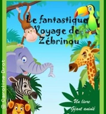 Le Fantastique Voyage de Zébrinou