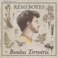 Rémi Boyes, Bombus Terrestris