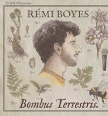 Rémi Boyes, Bombus Terrestris