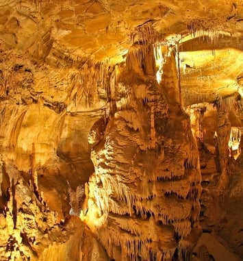 Visites guidées des grottes