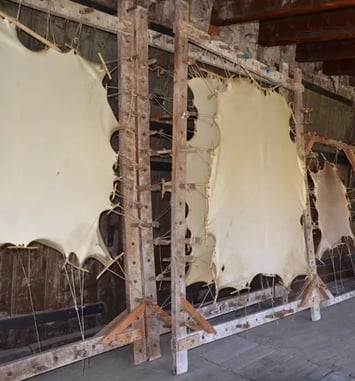 Visite du Musée du Parchemin