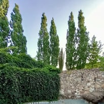 Ce que le jardin nous confie (Visite guidée)
