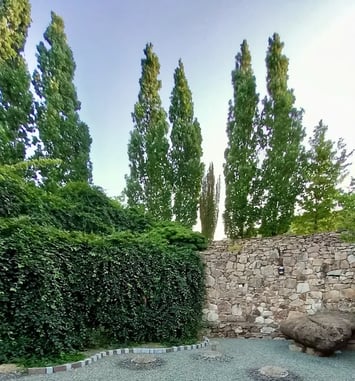 Ce que le jardin nous confie (Visite guidée)