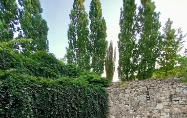 Ce que le jardin nous confie (Visite guidée)