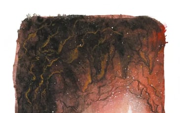 Exposition de dessins encadrés d'Anne Defréville pour le roman Le Loup de Nocaïna
