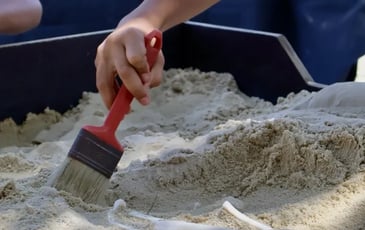 Apprenti archéologue, initiation aux fouilles
