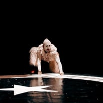 Les Choix Tremblants / Cirkus Nevkus