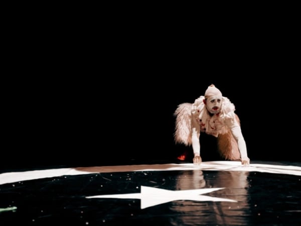 Les Choix Tremblants / Cirkus Nevkus