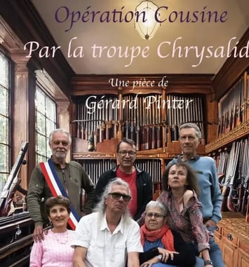 Opération cousine ou Ma cousine est un chic type