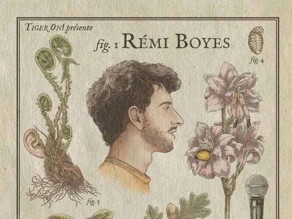 Rémi Boyes, Bombus Terrestris